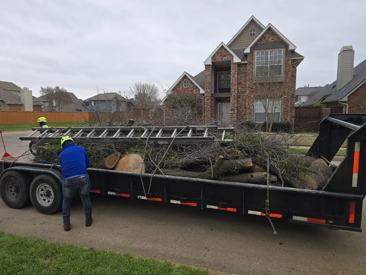 Expert Tree Pest Control with proper safety equipment in Mc Leod